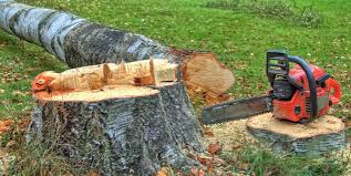 Best Emergency Tree Removal  in Catlettsburg, KY