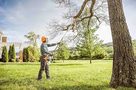 Best Lawn Drainage Solutions  in Catlettsburg, KY