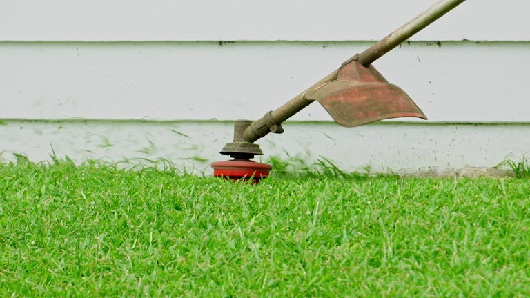 Best Lawn Pest Prevention  in Catlettsburg, KY